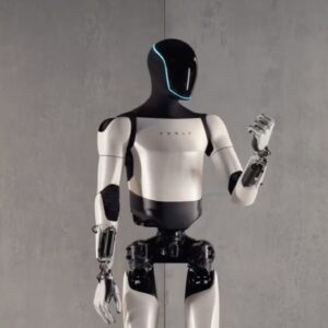 Domestic Helper Robots